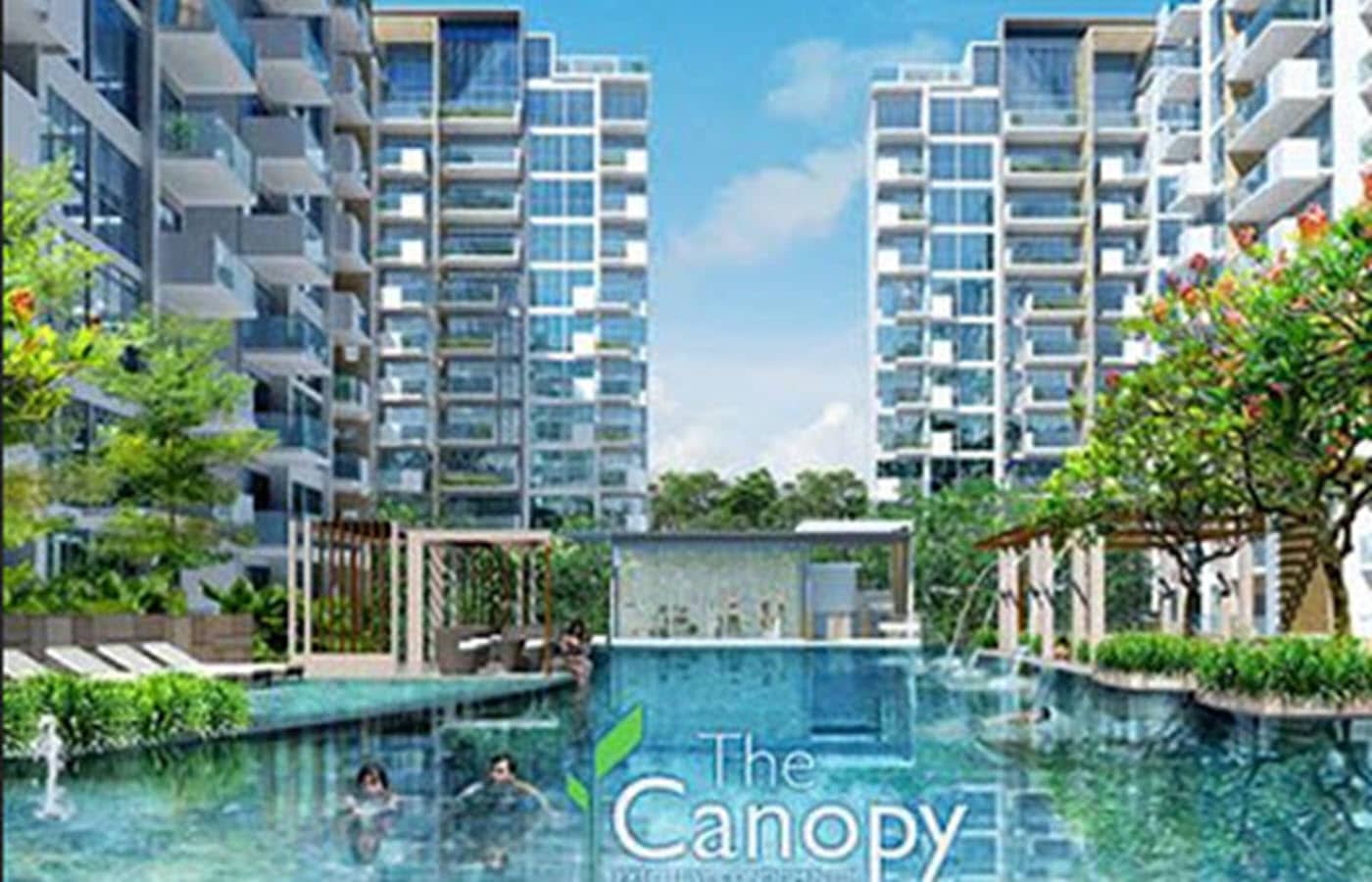 Read more about the article The Canopy